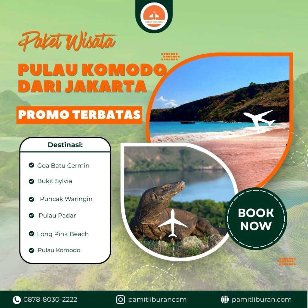 Paket Wisata Pulau Komodo dari Jakarta