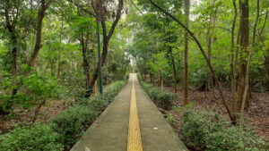 Hutan Kota tanah tinggi Srengseng jakarta