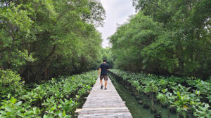 Mangrove Ecotourism Centre PIK