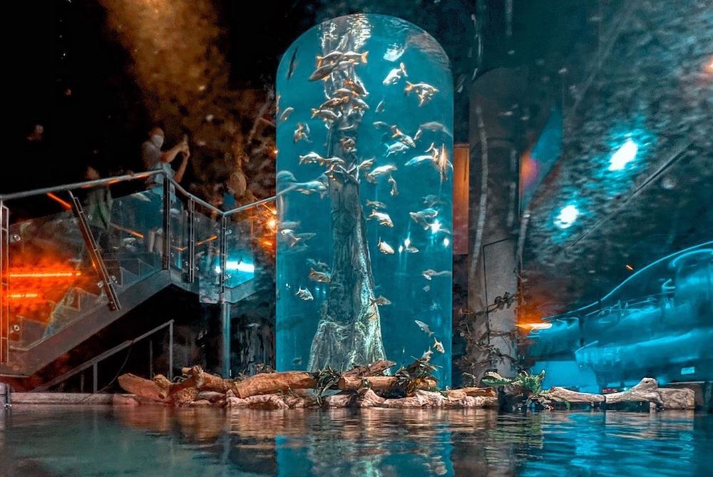 Aquaria KLCC — Petualangan Bawah Laut di Jantung Kota Kuala Lumpur