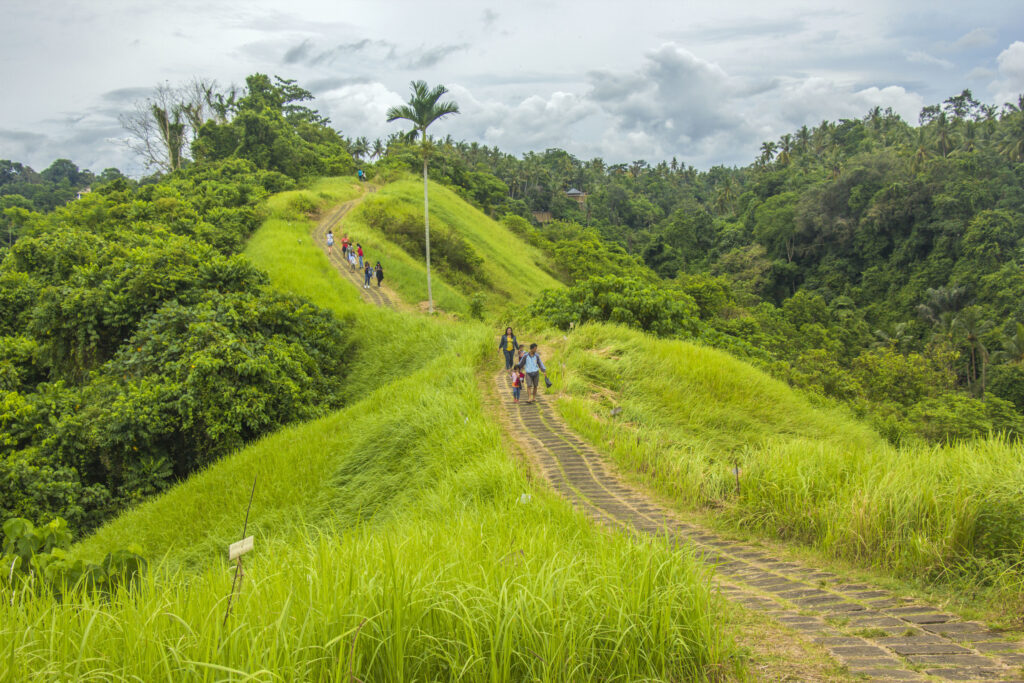 Wisata Campuhan Ridge Walk Ubud: Rute & Tips Lengkap