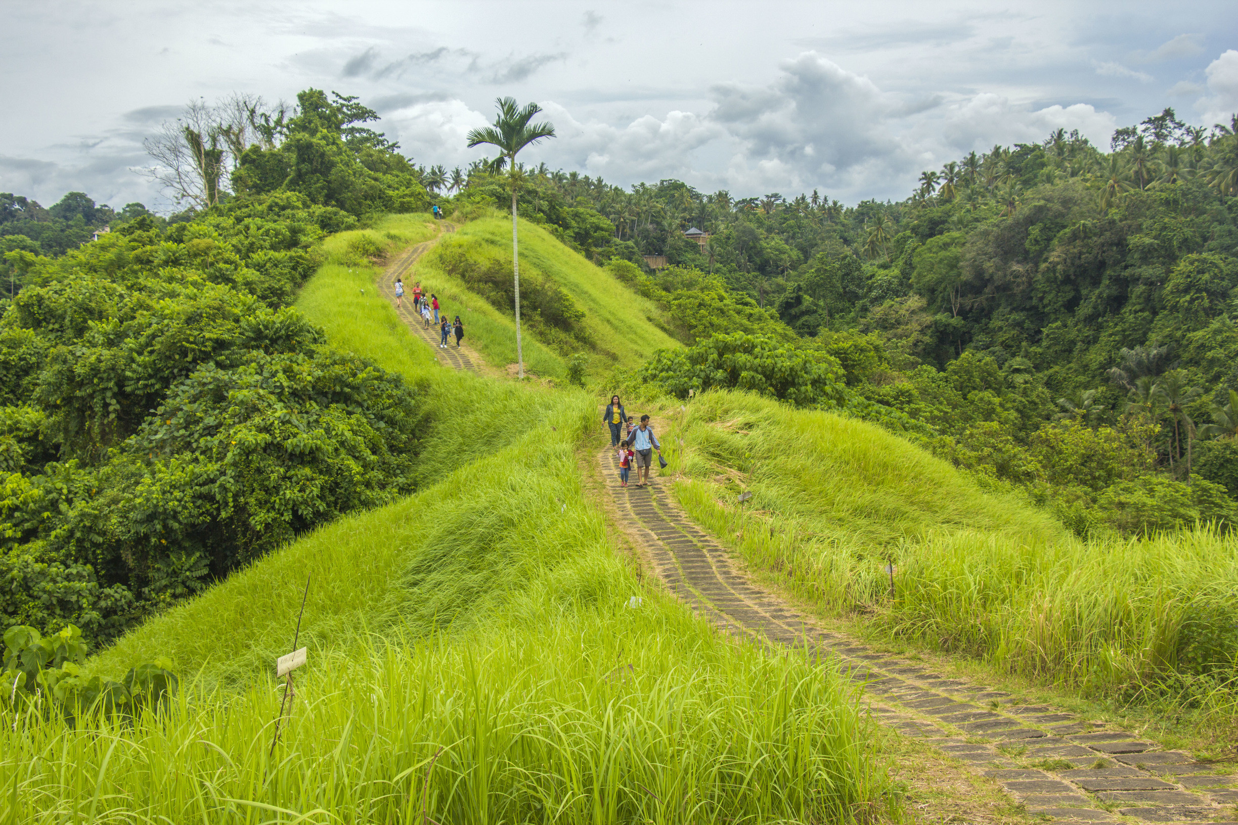 Campuhan Ridge Walk Bali
