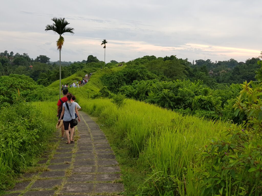 Campuhan Ridge Walk menjadi salah satu tempat hiking favorit di Ubud Bali