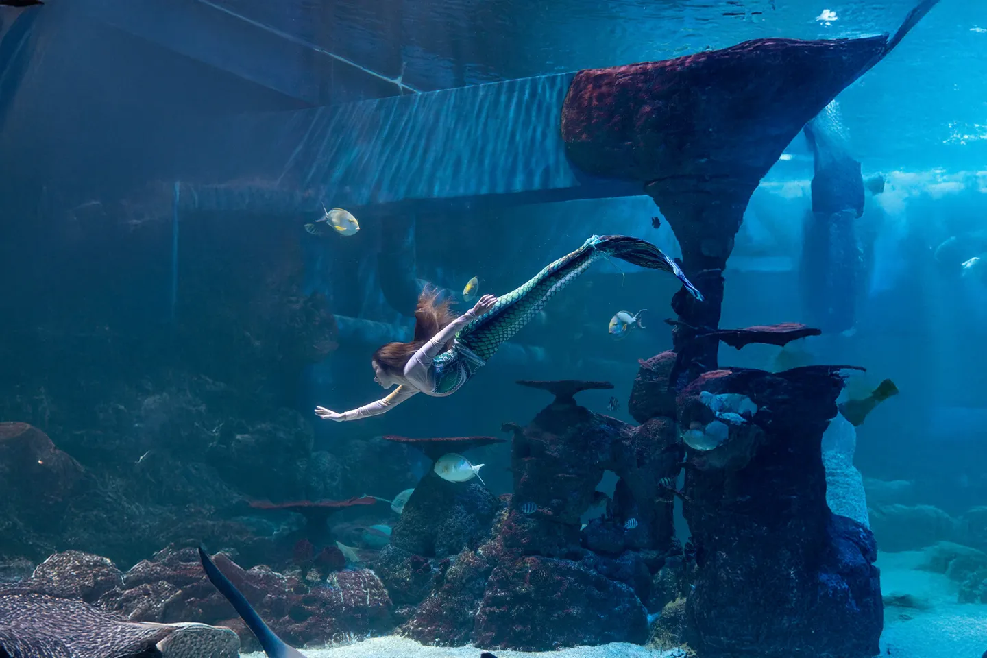 Jakarta Aquarium & Safari