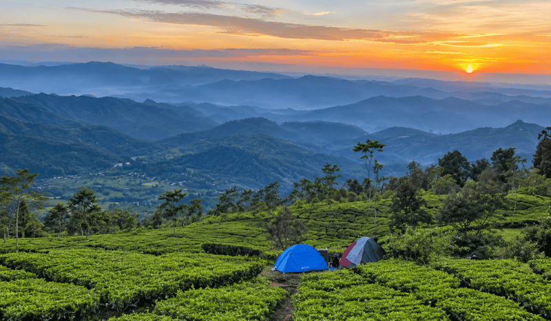 Kebun Teh Dayeuh Manggung
