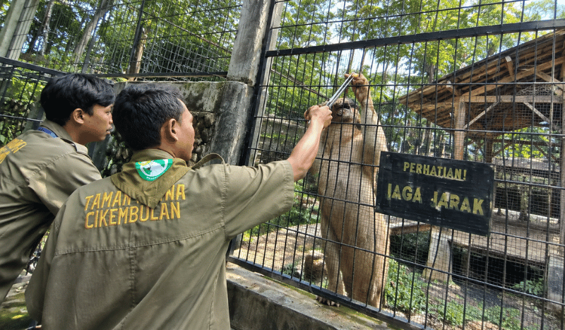 Taman Satwa Cikembulan